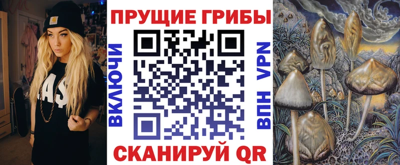 Псилоцибиновые грибы Magic Shrooms  Купить  Беломорск 