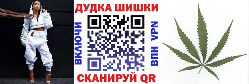 Купить закладки Беломорск Бошки Шишки SATIVA & INDICA